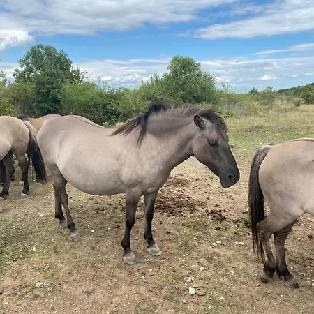 Vakantiehuis Gutedel
